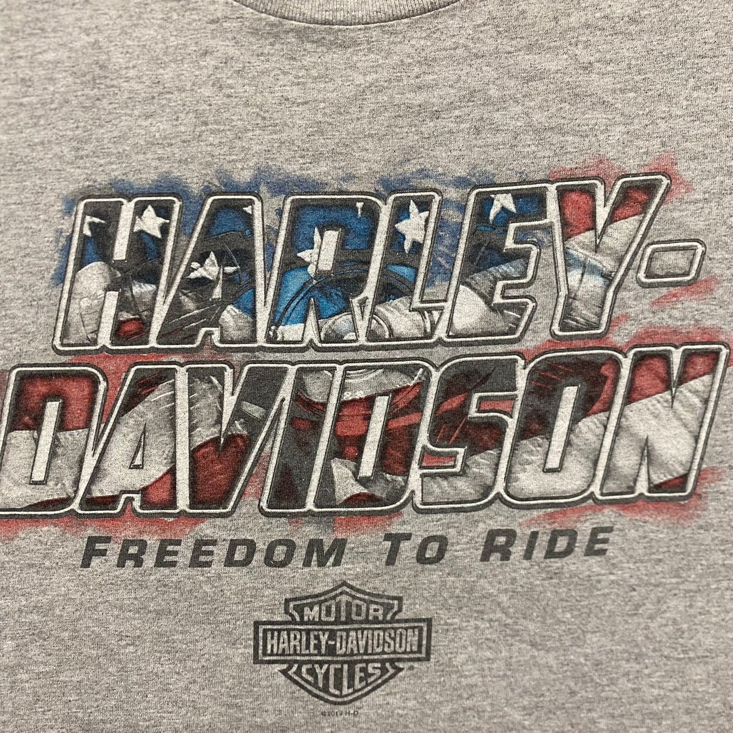 Vintage Harley Davidson Florida Gator Motorcycle Punk Tee