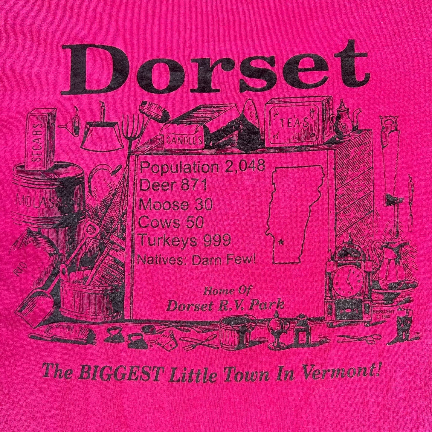 Vintage 90s Dorset Vermont T-Shirt Hot Pink L Single Stitch Small Town Humor
