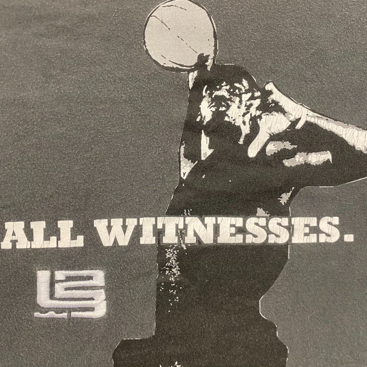 Vintage Y2K Nike Lebron James Witness Baggy Basketball Tee