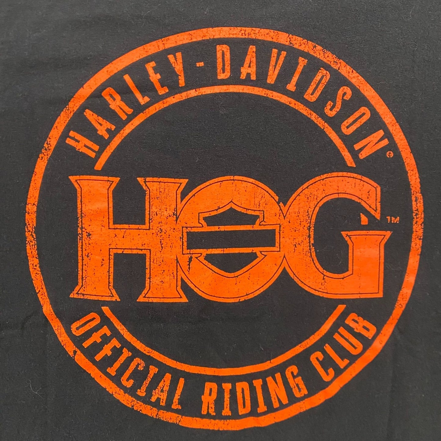 Vintage Y2K Harley Davidson Shirt HOG Motorcycle Biker Tee