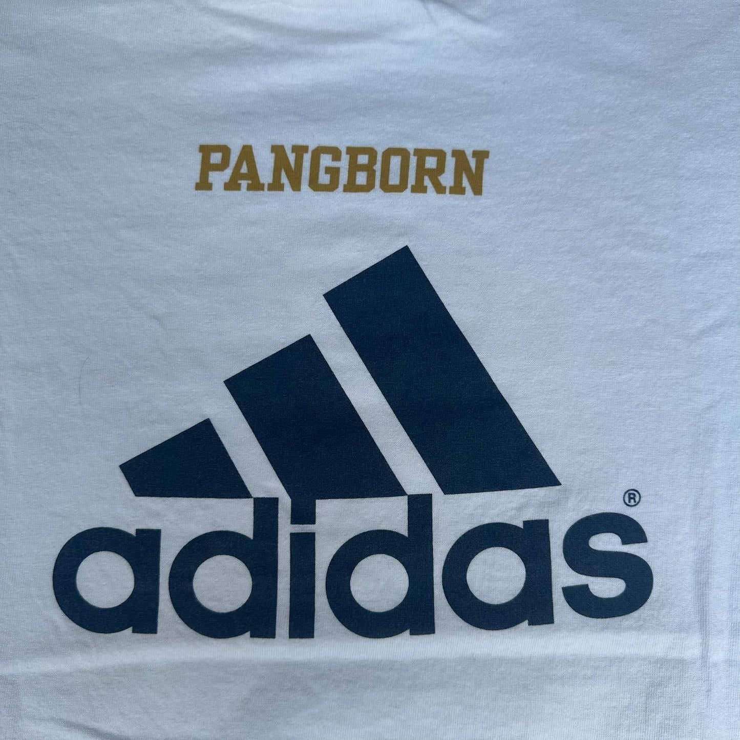 Vintage Y2K Adidas Notre Dame T-Shirt 3 Stripes Collegiate L White NCAA Sporty