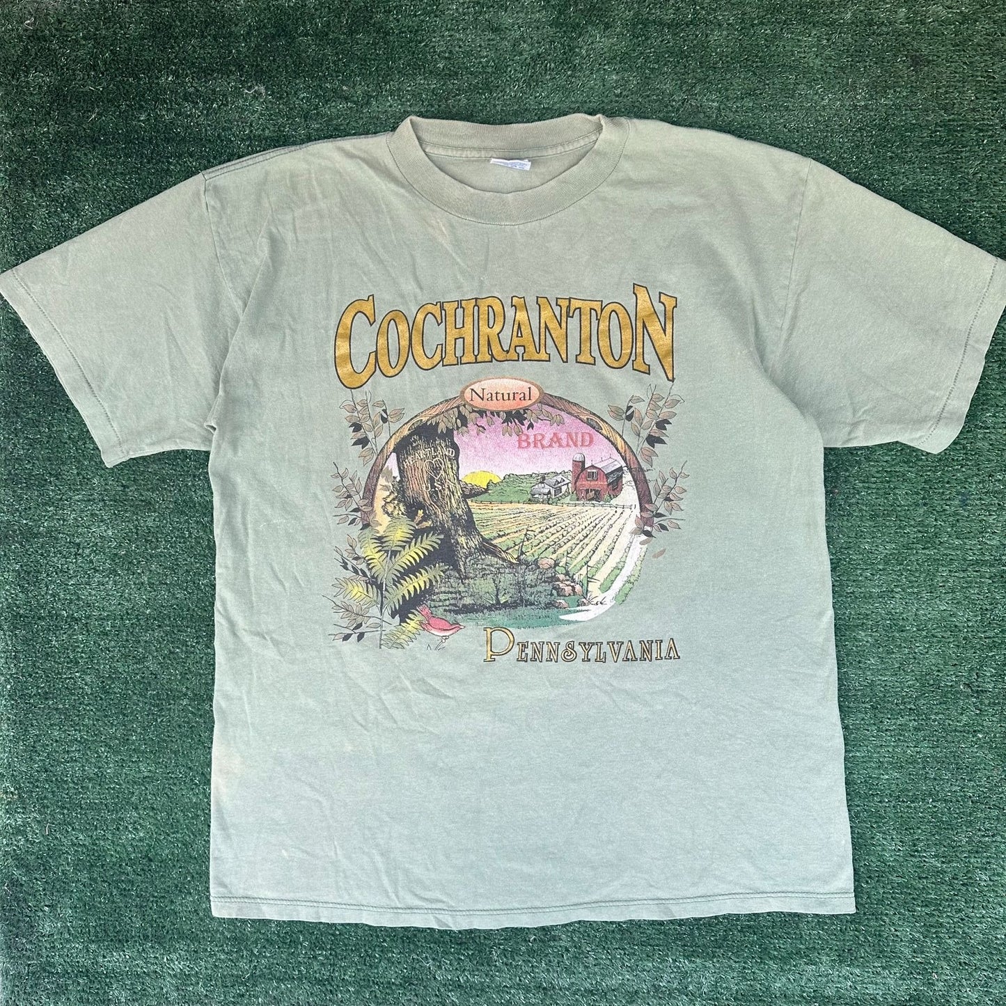 Vintage 90s Cochranton Pennsylvania Landscape T-Shirt Green L Single Stitch