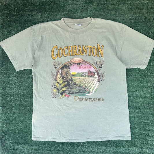 Vintage 90s Cochranton Pennsylvania Landscape T-Shirt Green L Single Stitch