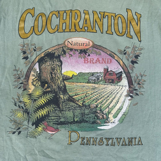 Vintage 90s Cochranton Pennsylvania Landscape T-Shirt Green L Single Stitch