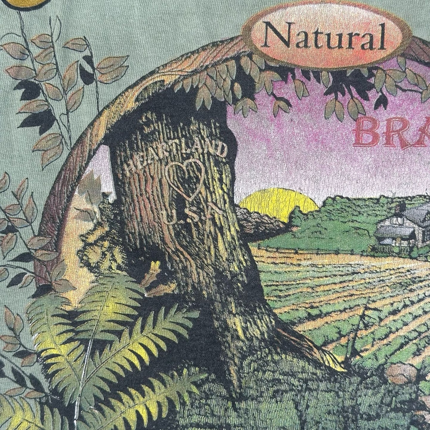 Vintage 90s Cochranton Pennsylvania Landscape T-Shirt Green L Single Stitch