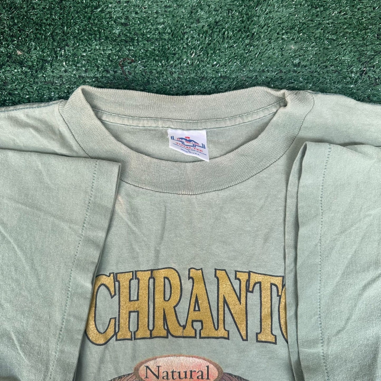 Vintage 90s Cochranton Pennsylvania Landscape T-Shirt Green L Single Stitch