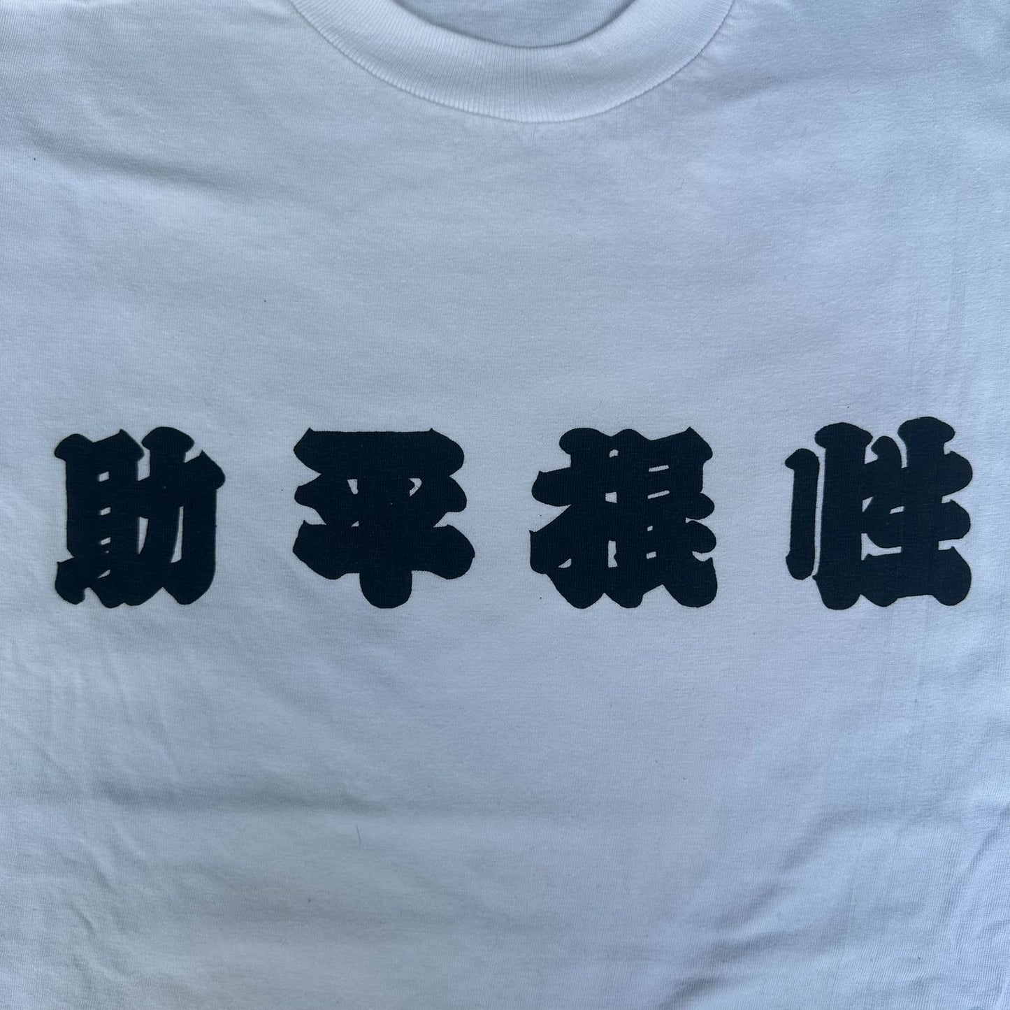 Vintage 90s Japanese Kanji Letters T-Shirt Single Stitch Punk Weeb Otaku White L