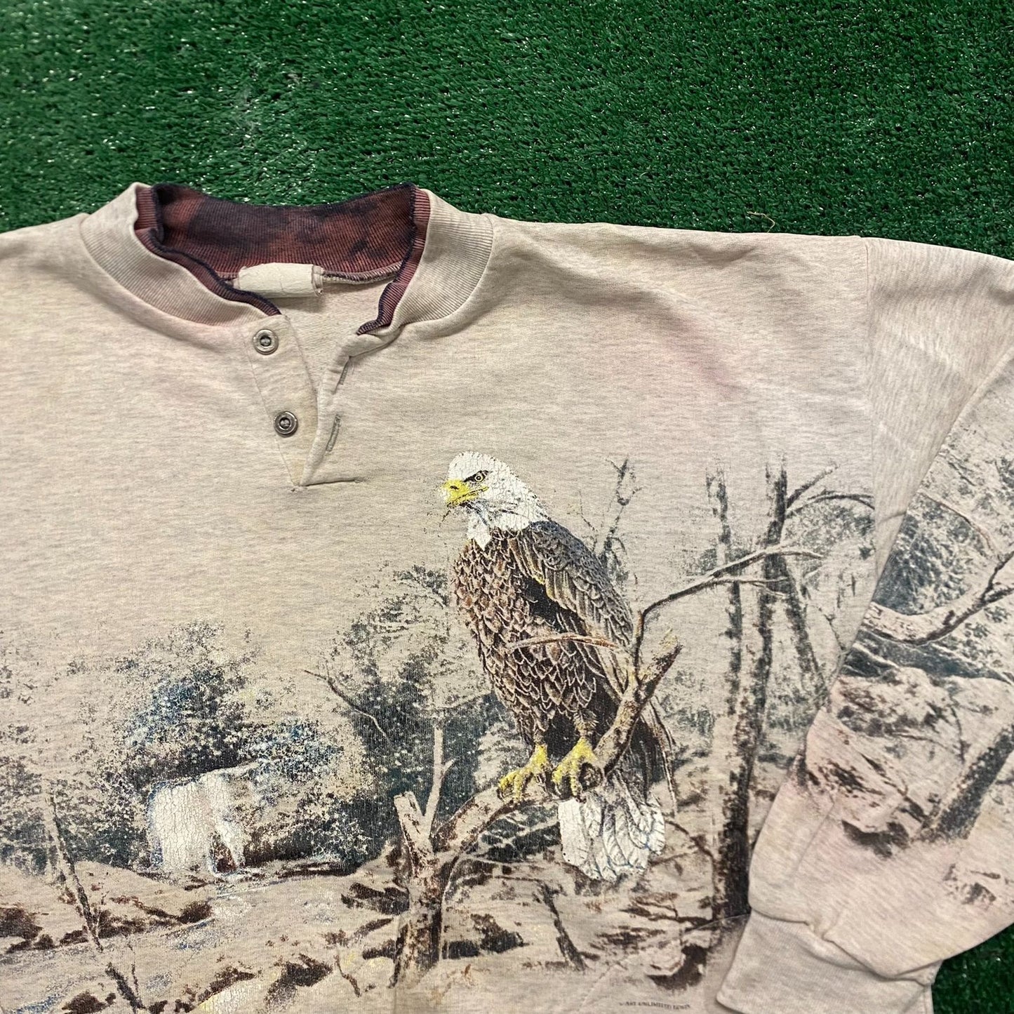 Eagle Artwork Western Vintage 90s Nature Animals Sweatshirt