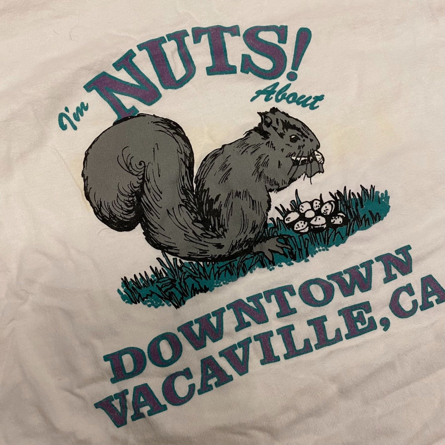 Squirrel Nuts Vintage 90s T-Shirt