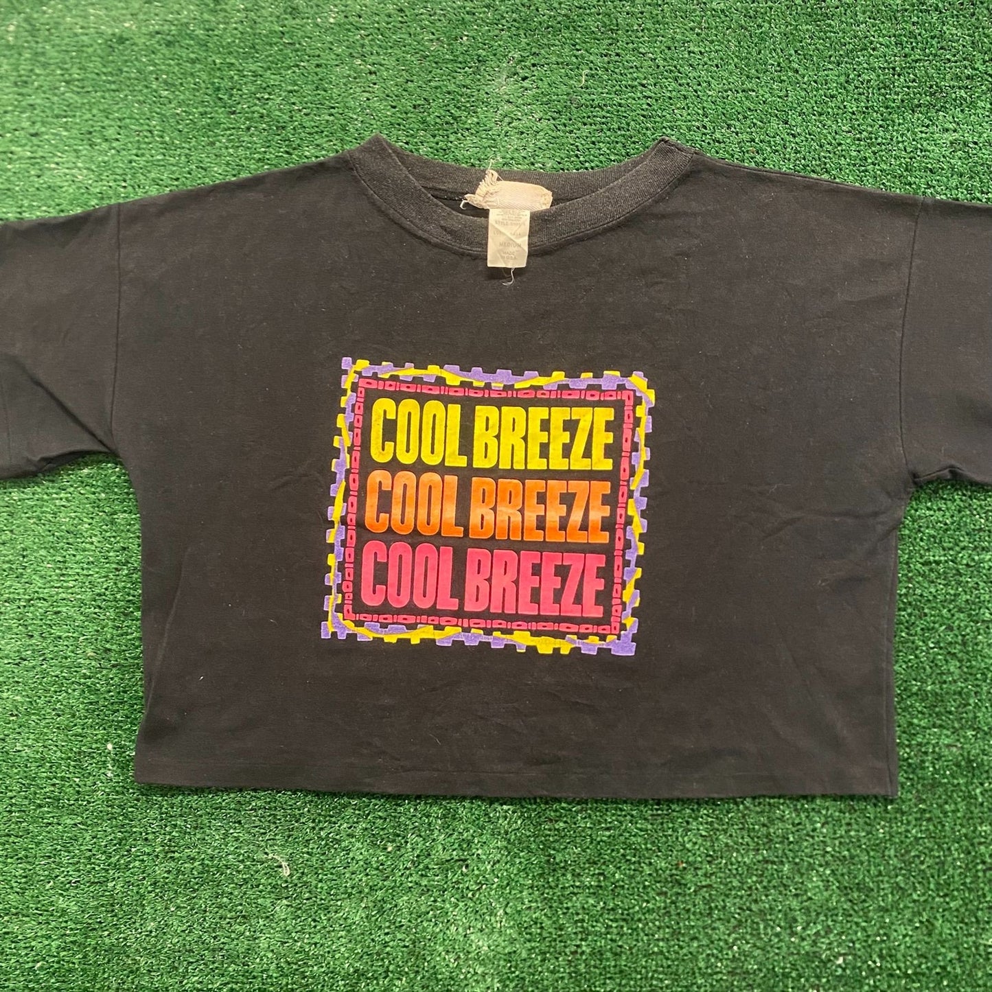 Cool Breeze Vintage 90s Crop Top T-Shirt