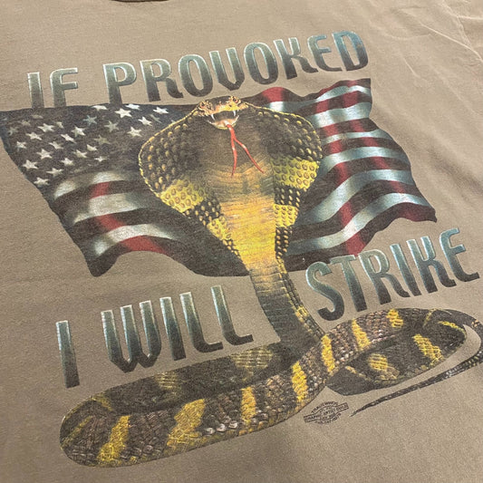 USA Snake Vintage Boxy 90s T-Shirt