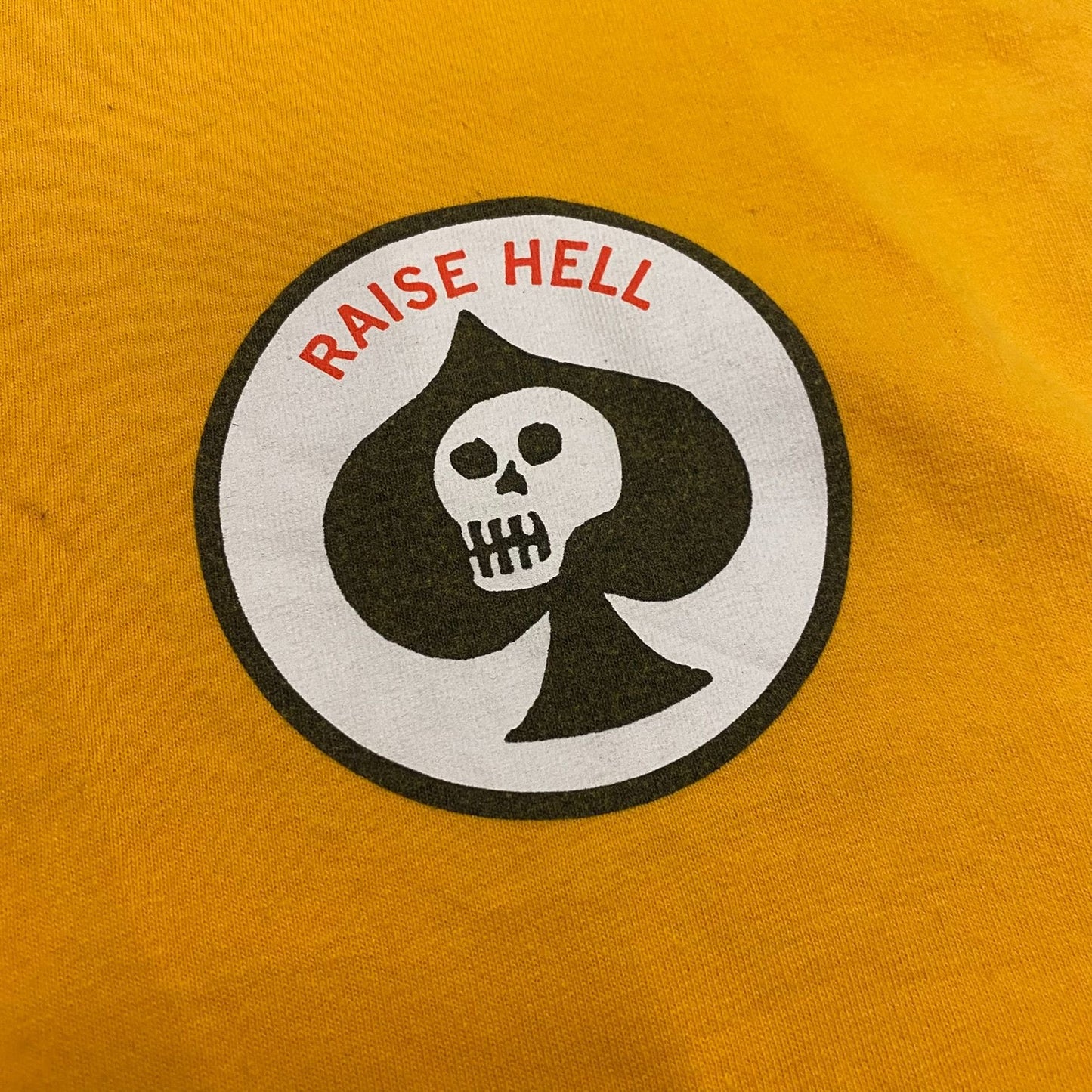 Raise Hell Skull T-Shirt